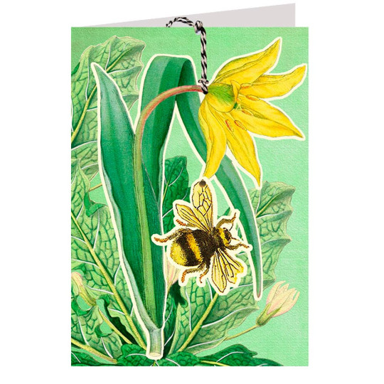 Bee and Blossom Botanical Card ~ England